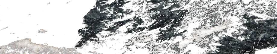 crystalization of ketamine in a dish